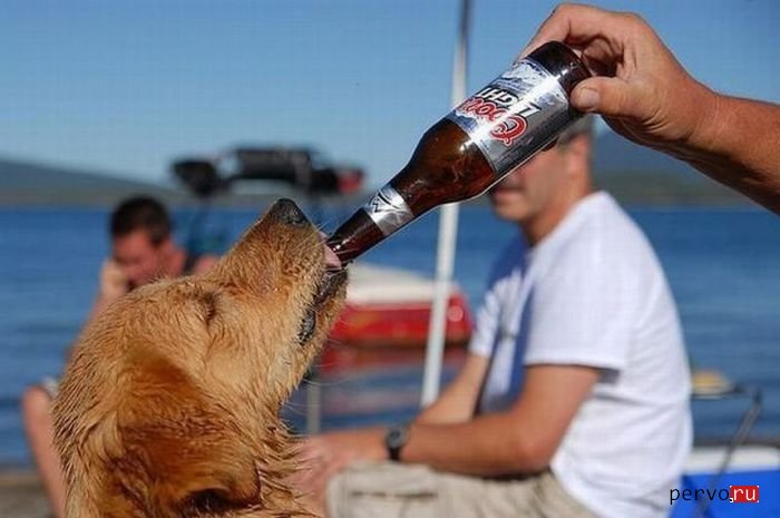 Среда это маленькая пятница