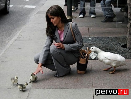 Они продуманные!