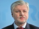 Миронов опубликовал предвыборную программу