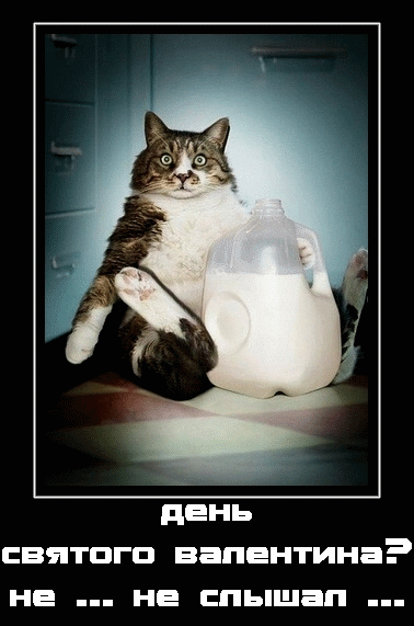 днем святого валентина