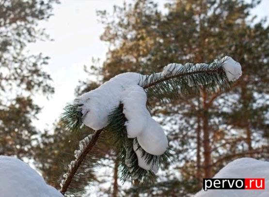 Скоро весна кстати!