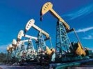 Нефтяники просят Путина расширить доступ к освоению шельфа, право на которое имеют две госкомпании