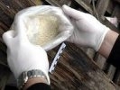У жительницы Первоуральска изъяли килограмм героина