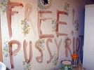 Задержан убийца двух женщин, написавший кровью "Free Pussy Riot" после расправы
