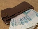 Губернатор поручил выплатить декабрьскую зарплату всем бюджетникам до конца года