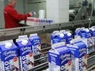 Госорганам запретят покупать импортные автомобили и продукты питания