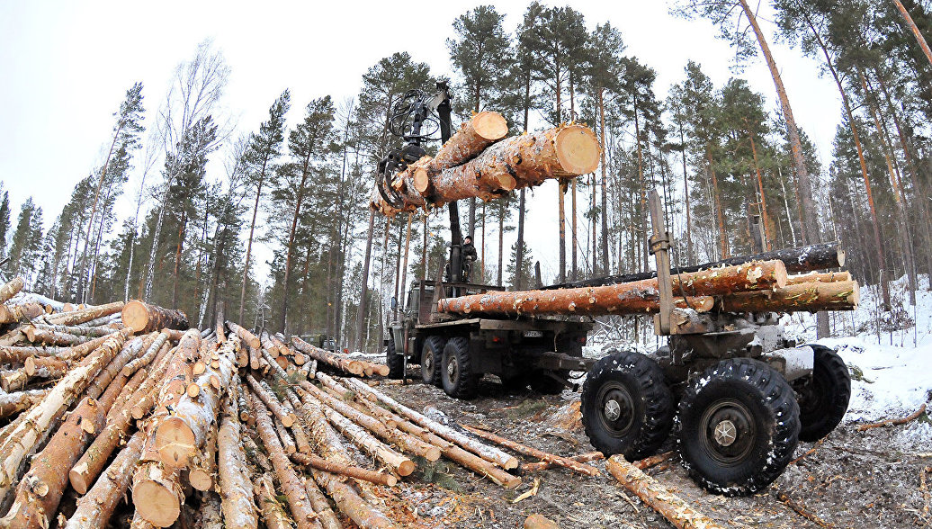 «Бывшие защитники природы становятся её палачами»