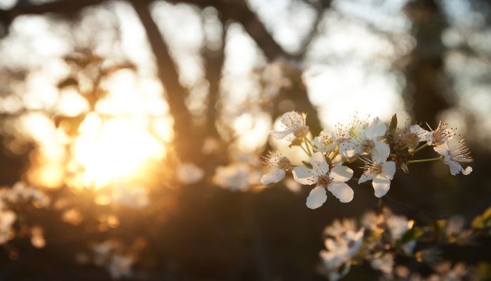 В Первоуральск приходит лето