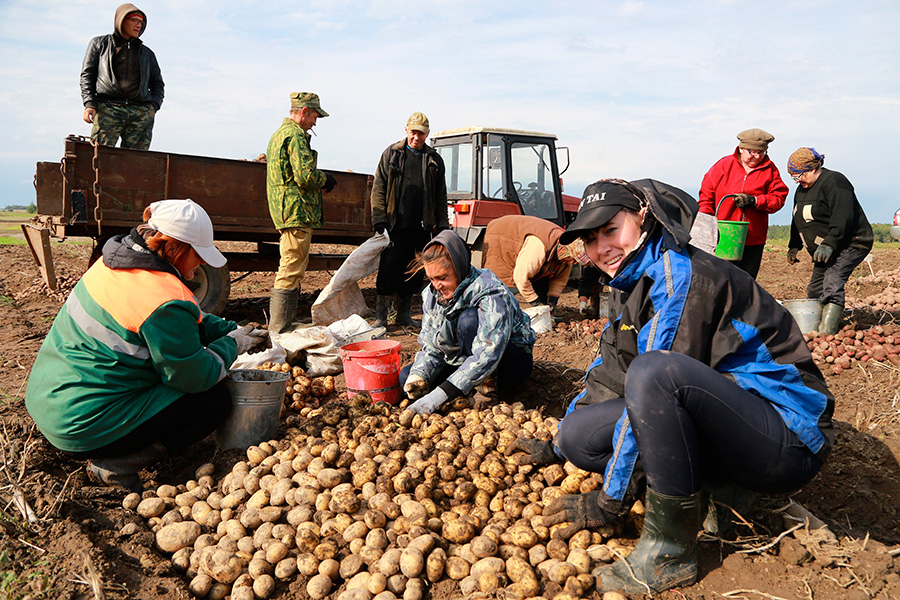 Минтруд может продлить рабочий день жительницам сельской местности