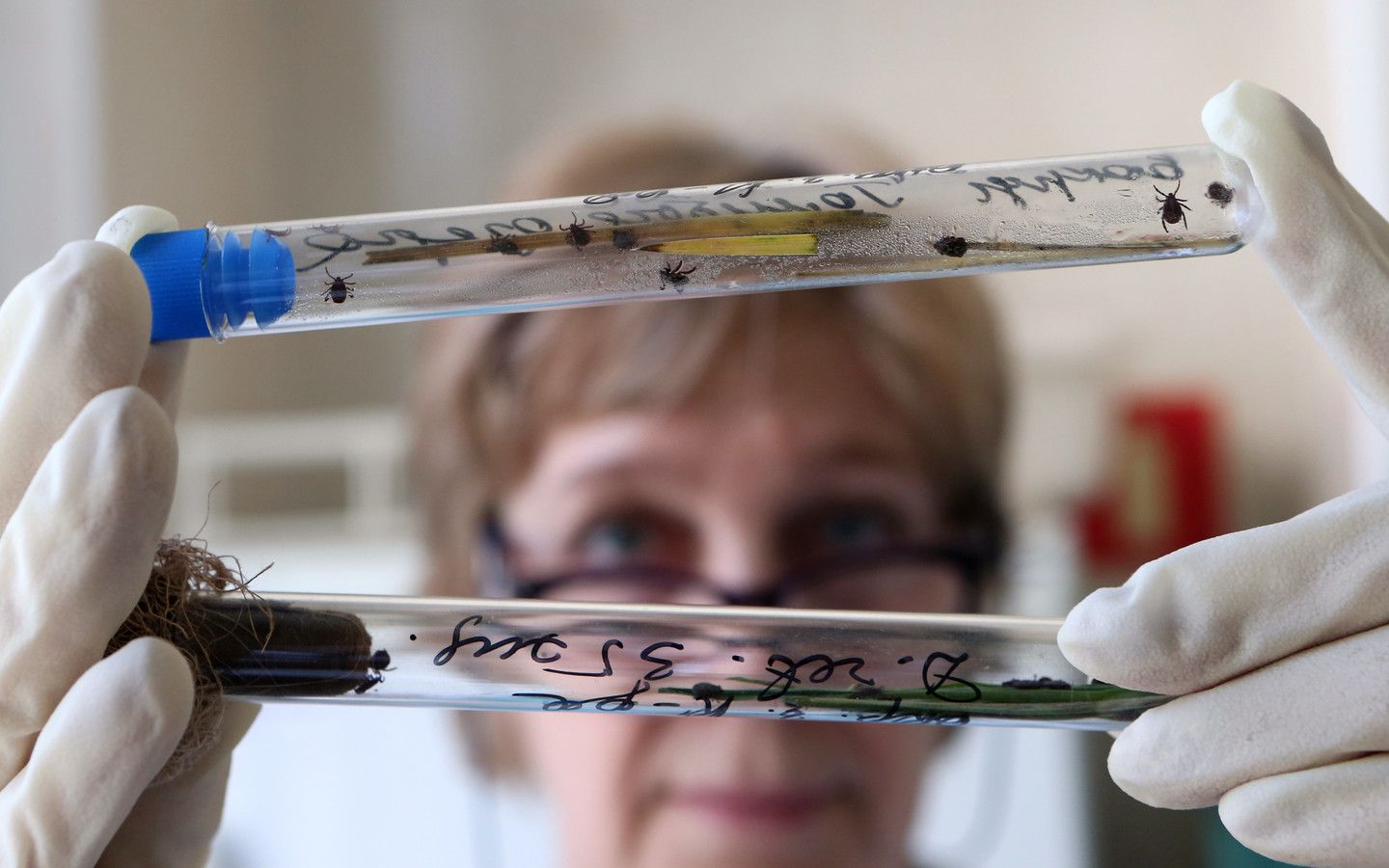 64 случая укуса клещей зарегистрировано в Первоуральске