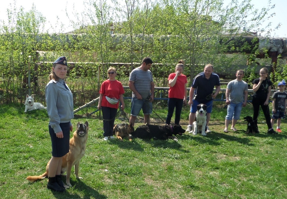 Кинологи ГУФСИН посетили Первоуральский клуб любителей собак