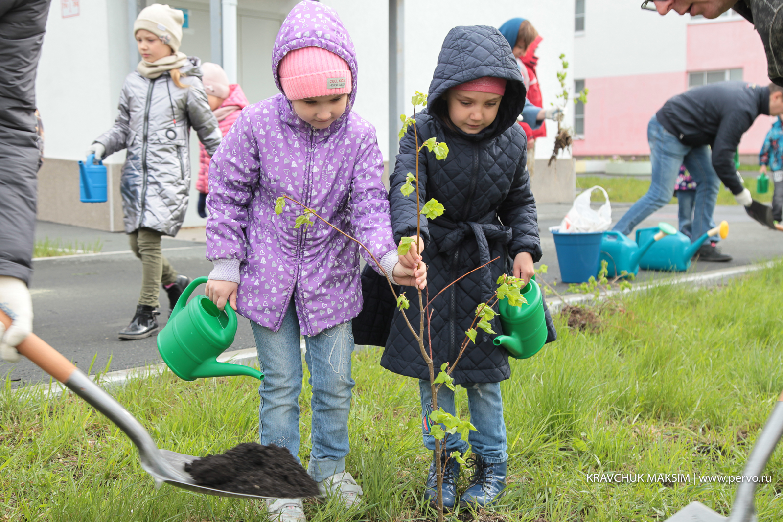 Более 1000 саженцев высадили у школ и детских садов города