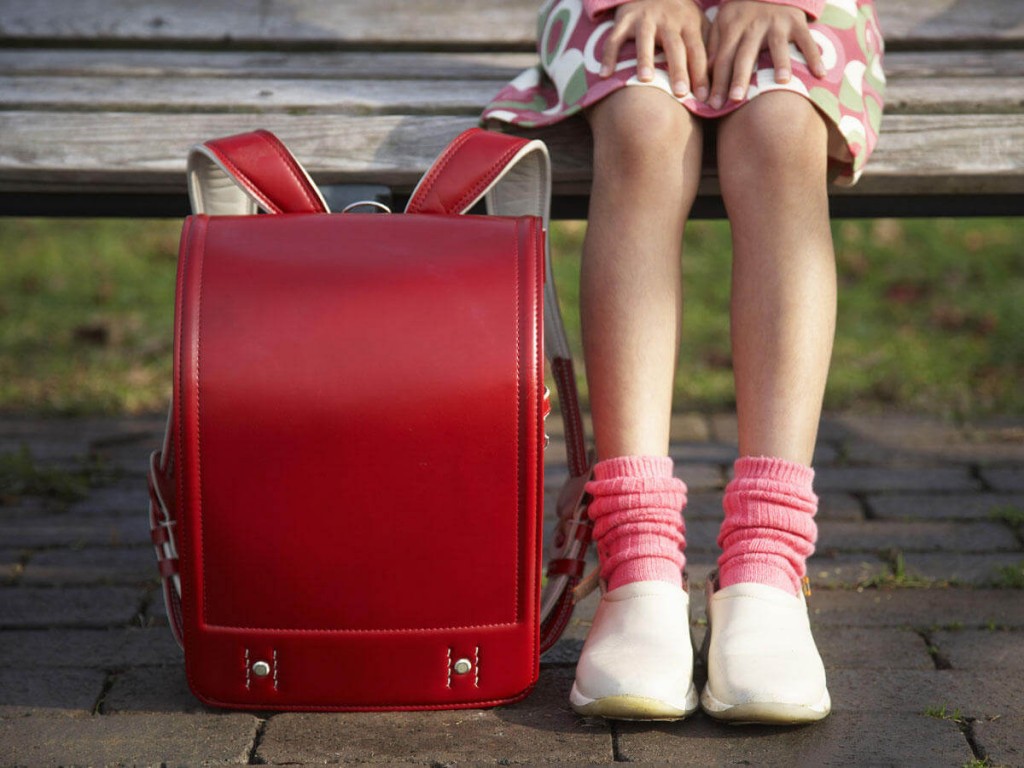 Ро­спо­треб­над­зор на­звал оп­ти­маль­ный вес порт­фе­ля для школь­ни­ка