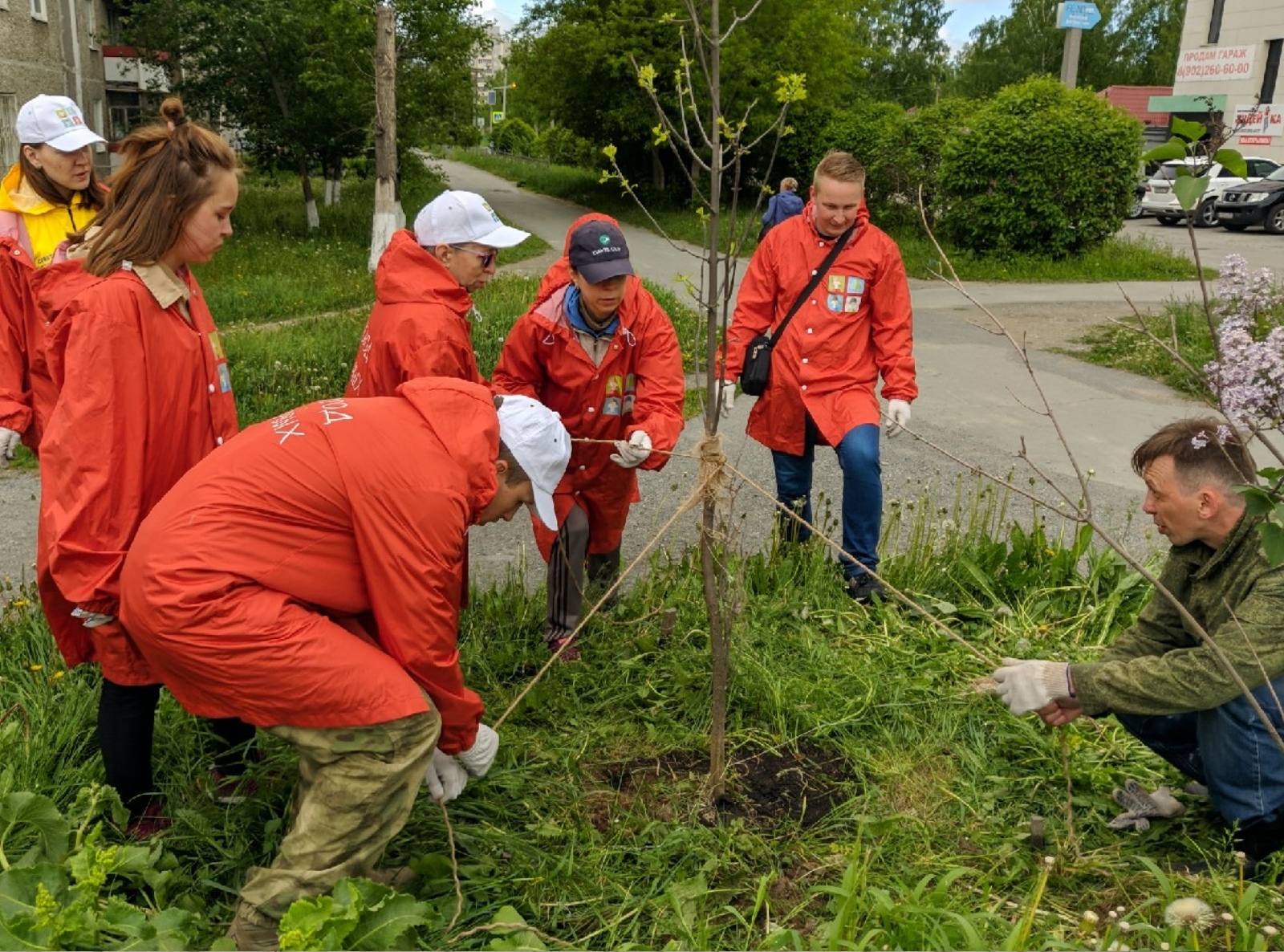 Первоуральцев приглашают принять участие в посадке деревьев