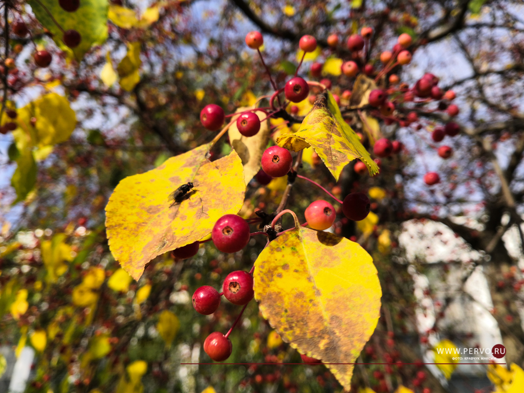 Это воскресенье стало самым теплым за 20 лет
