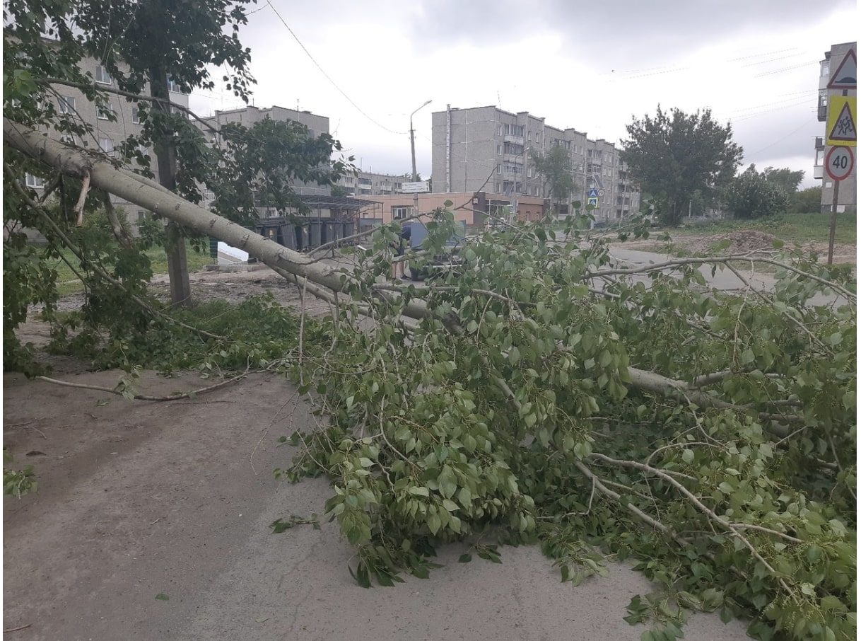 Во время урагана в Полевском погибла женщина