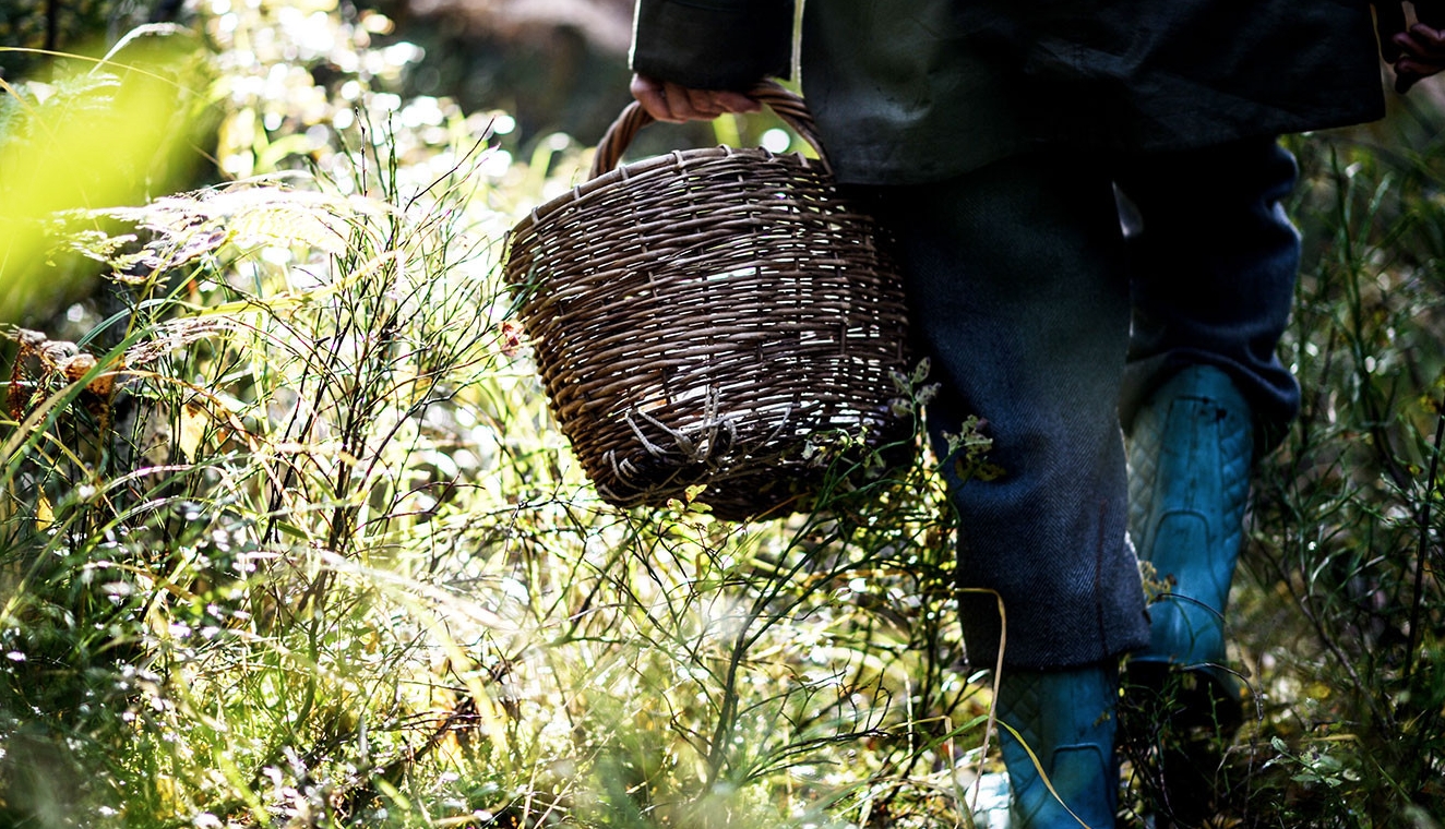 Спасатели нашли бабушку и внука, потерявшихся в лесу Первоуральска