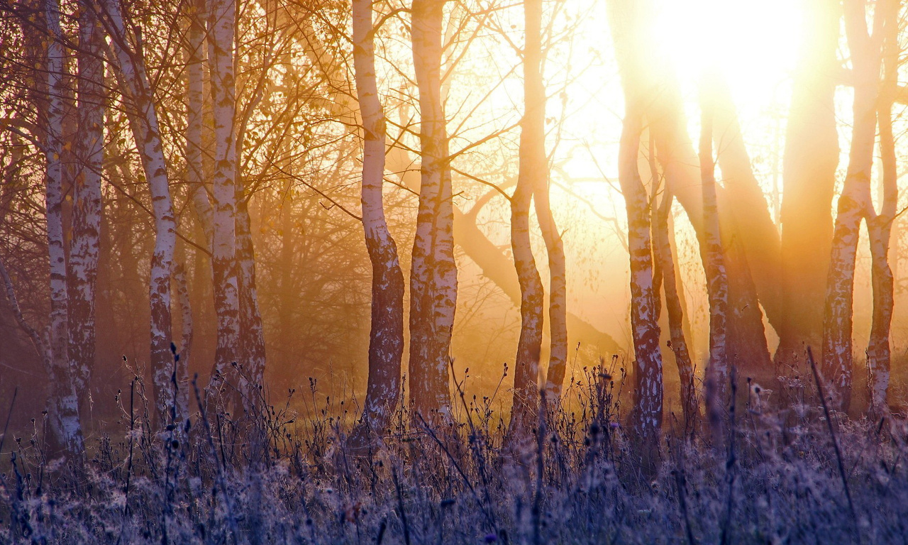 Температура упадет ниже нуля