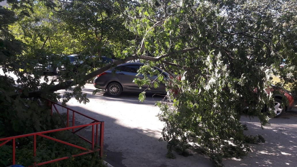 Штормовой ветер оставил первоуральцев без света