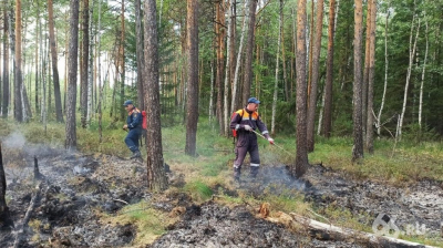 Открытое горение на лесном пожаре под Первоуральском ликвидировано