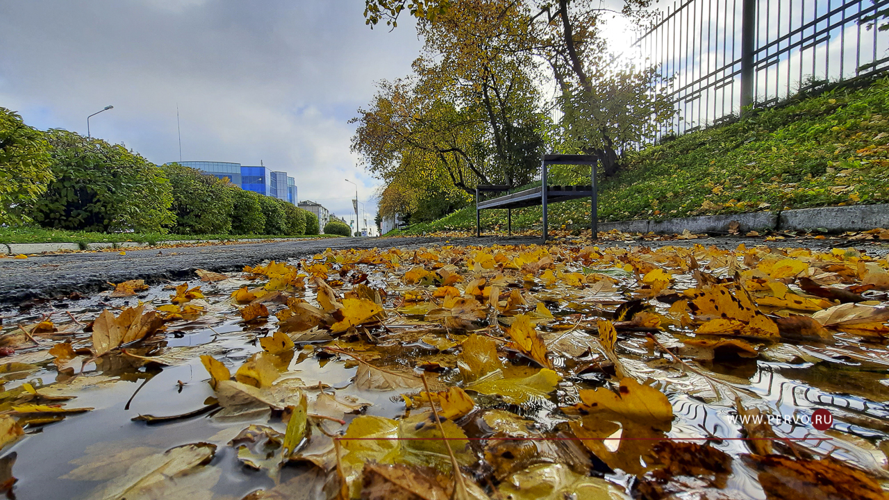 В Первоуральск на несколько дней пришло «Бабье лето»