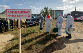 Режим ЧС ввел губернатор Свердловской области