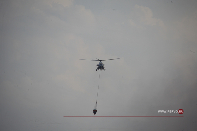 В Свердловской области локализованы все природные пожары