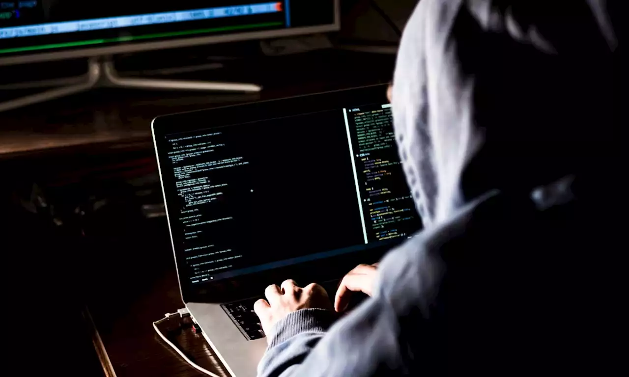 Опубликованная в «даркнете» база данных «Госуслуги СТОП Коронавирус» фейковая