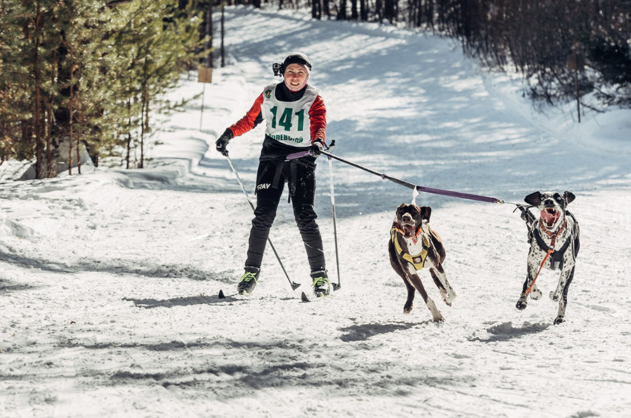 Первоуральский каюр и ее питомцы выиграли в скиджоринге