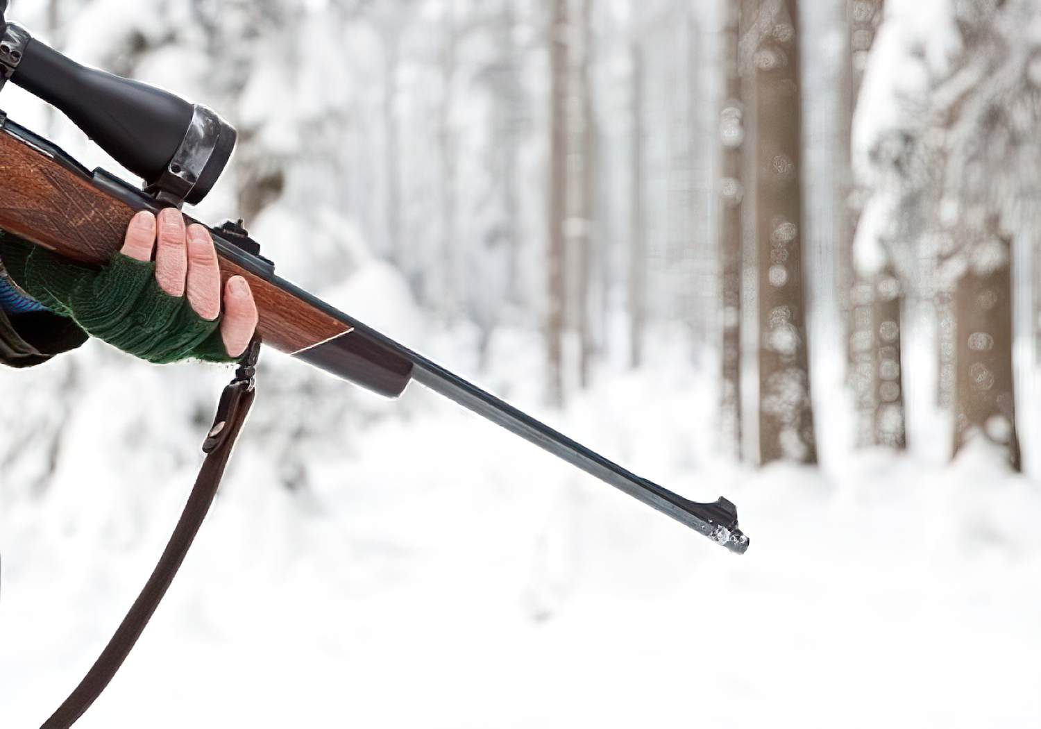 Началась подготовка к весенней охоте