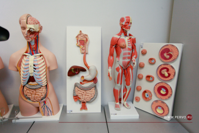 Врачи-педиатры детской больницы ведут семинары в медицинском классе лицея N 21