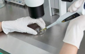 Диагностика как неотъемлемая составляющая грамотного лечения