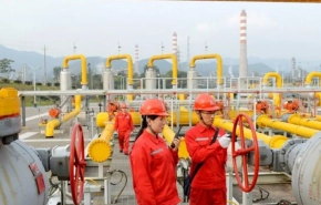 Япония определила семь труднозаменимых товаров из России