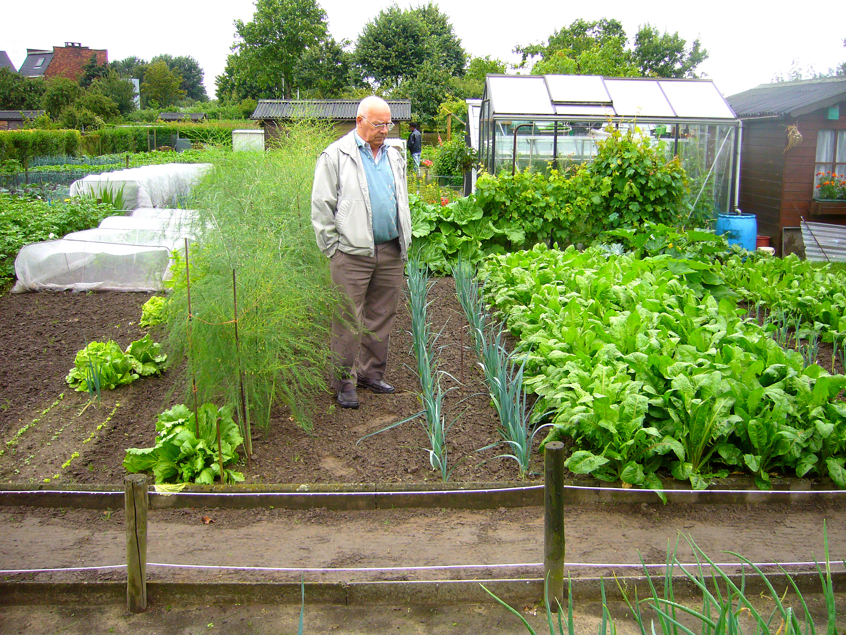 Потянуло к земле: что ждет первоуральцев в новом дачном сезоне
