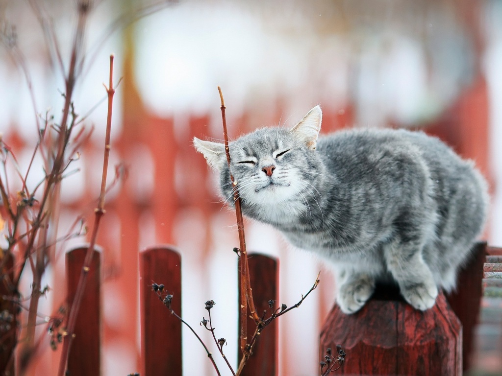В городе потеплеет до +17 градусов
