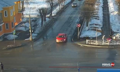 ГИБДД Первоуральска установила обстоятельства ДТП с участием собаки