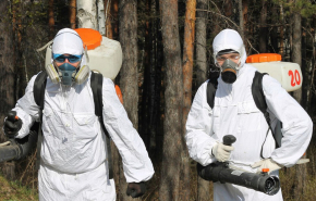 В столице Урала от клещей обработают 12 лесопарков