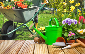 30% россиян летом планируют проводить больше времени на даче