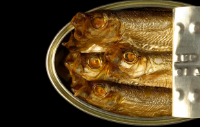 Россия вводит экспортные пошлины на шпроты и подсолнечное масло