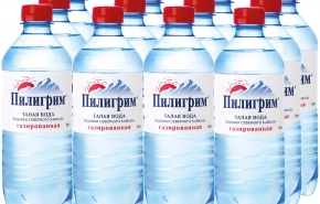 Вода «Пилигрим»: происхождение и свойства