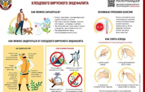 Десятки свердловчан пострадали от укусов клещей за неделю