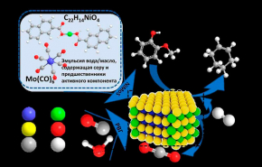Российские ученые упростили получение бионефти из органического сырья