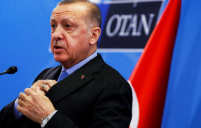 Эрдоган: Турция рассчитывает, что на Украине в ближайшее время установится мир