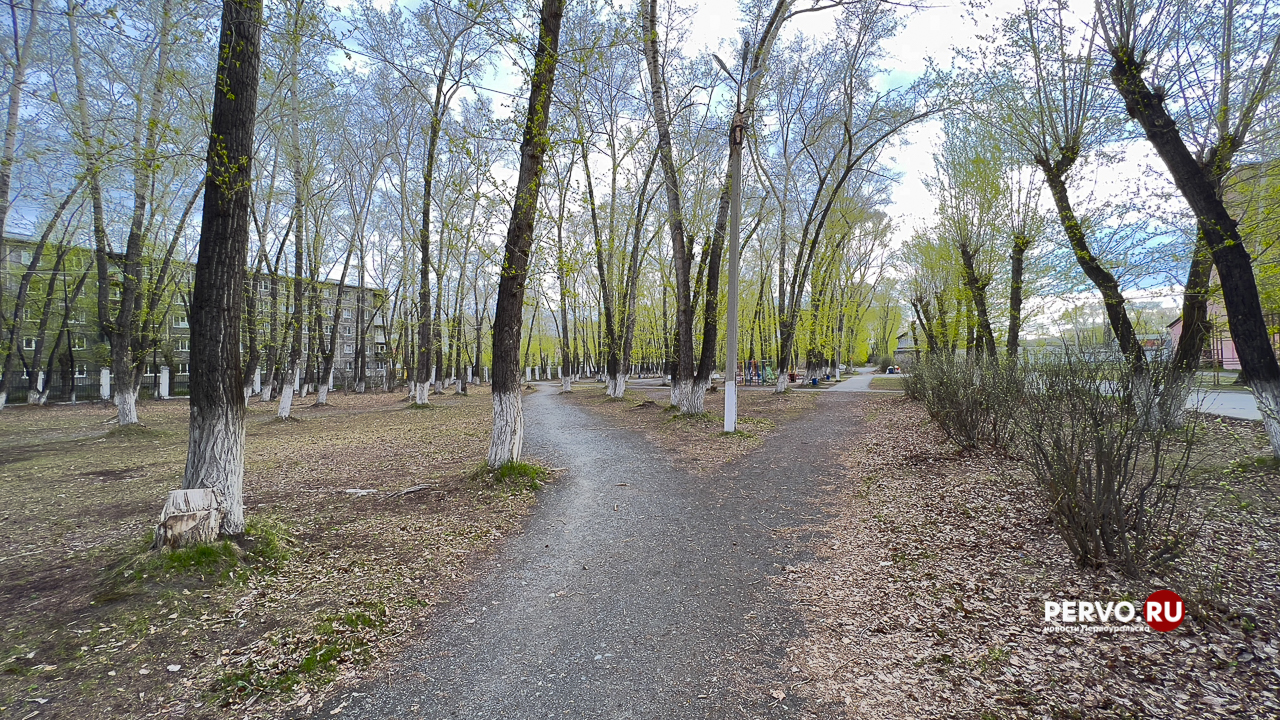 За благоустройство общественной территорий проголосовало 91,3% жителей