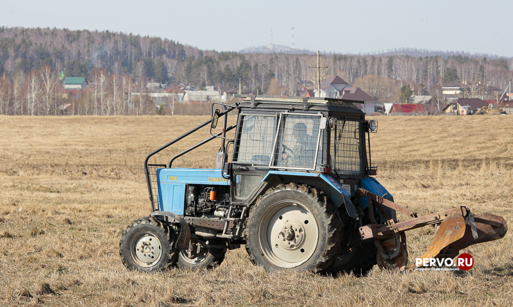 Выполнили половину плана по посевной