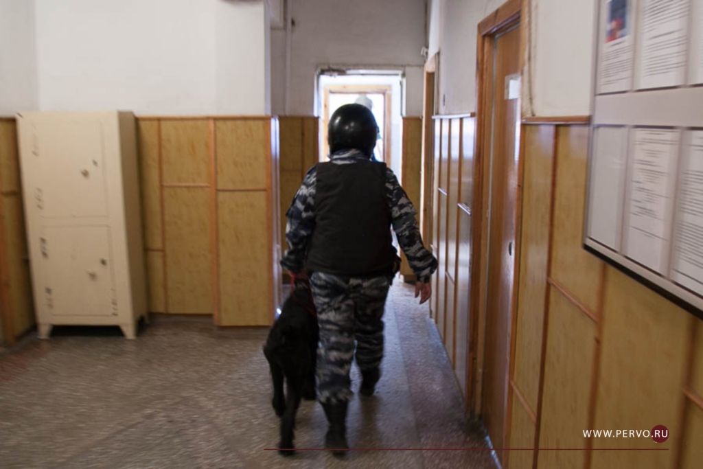 Сообщения о «минировании» городского суда продолжаются