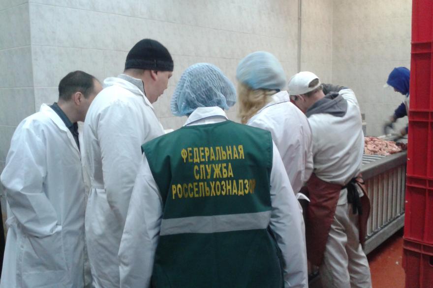 Мясную продукцию с нарушениями ветеринарных правил поставляет Первоуральск