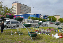 На высадку цветов выделено почти 800 тысяч рублей