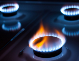 В Германии рассказали о газовом «армрестлинге» с РФ