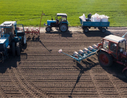 Власти Херсонщины заявили о потере Украиной не менее 16% посевных площадей